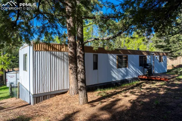 a view of a house with a small yard and large tree