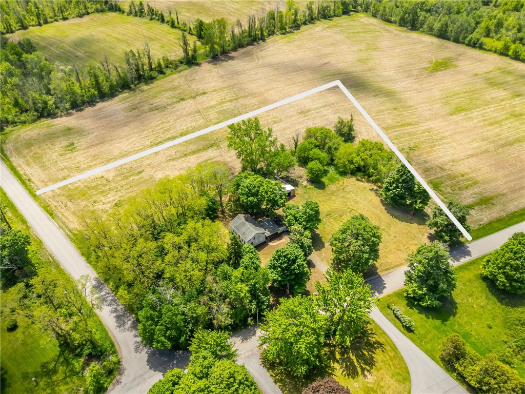 17156 Ladue Road Clarendon, NY 14470 - Photo 3 of 41