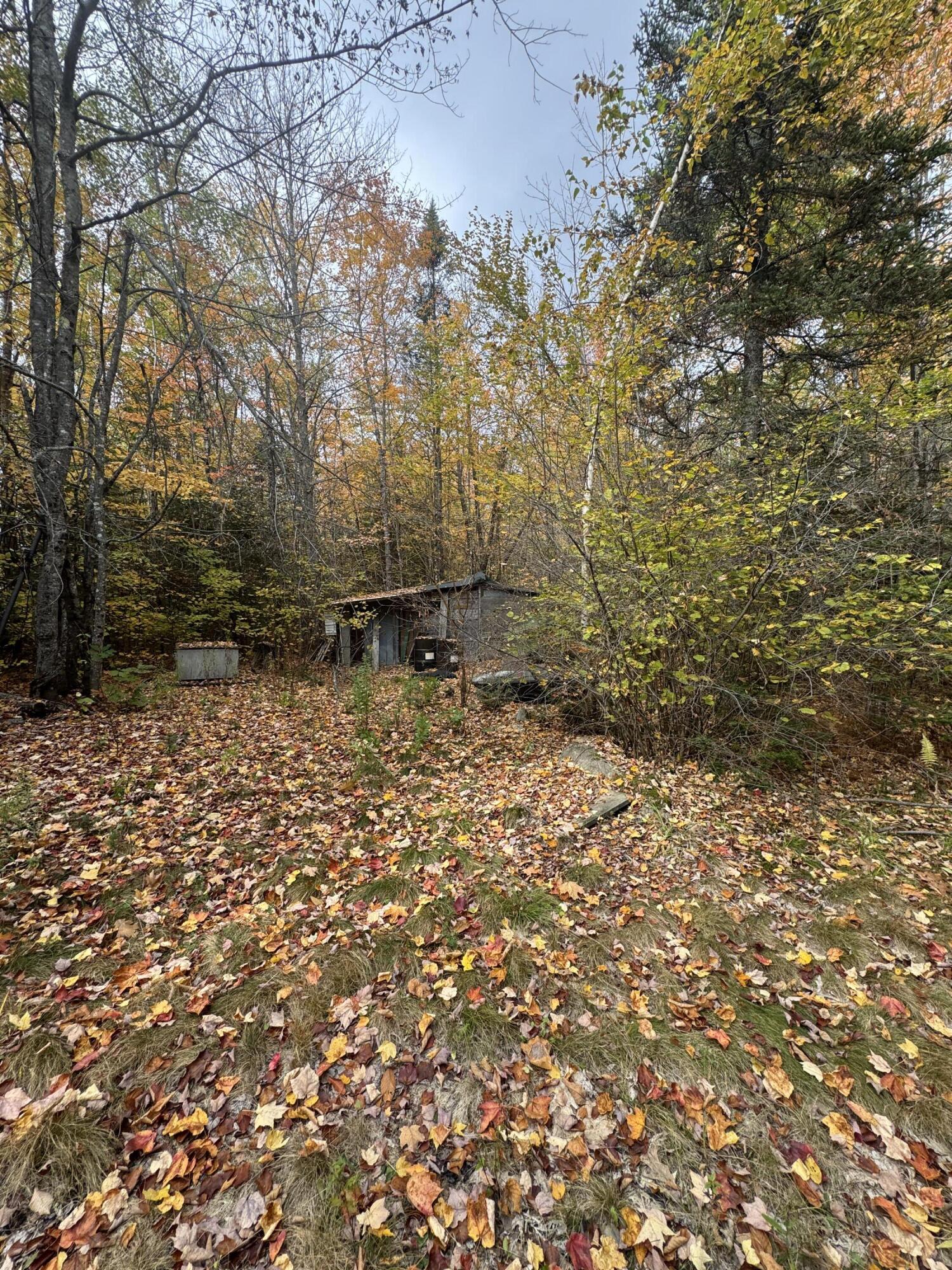 839 Oliver Hill Road Garland, ME 04939 - Photo 8 of 15 IMG_8625