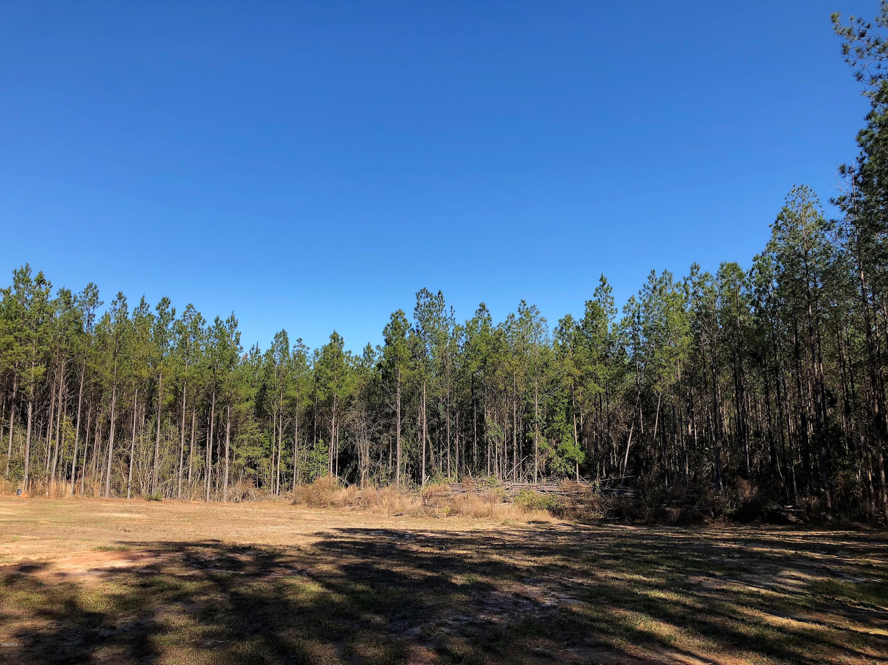 1107 A Easley Road Lucedale, MS 39452 - Photo 26 of 26 IMG_5698