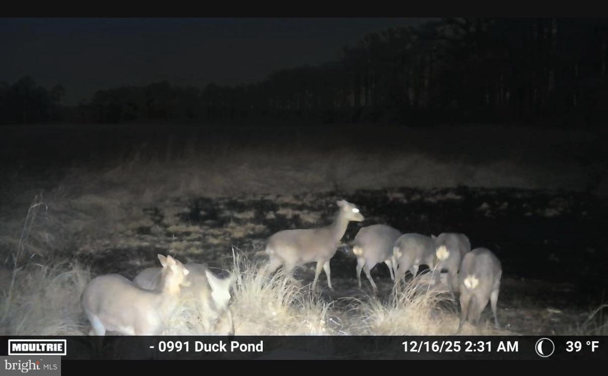 2839 Lakesville-Crapo Road Crapo, MD 21626 - Photo 12 of 50 a view of water heater