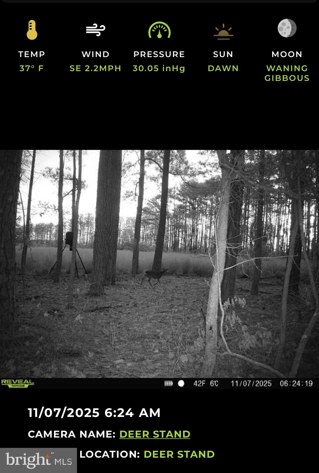 2839 Lakesville-Crapo Road Crapo, MD 21626 - Photo 13 of 50