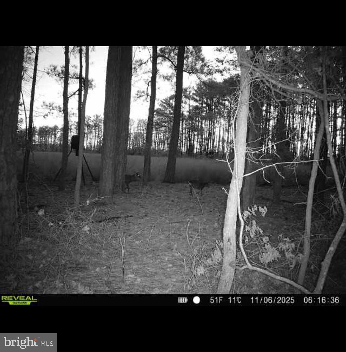 2839 Lakesville-Crapo Road Crapo, MD 21626 - Photo 16 of 50