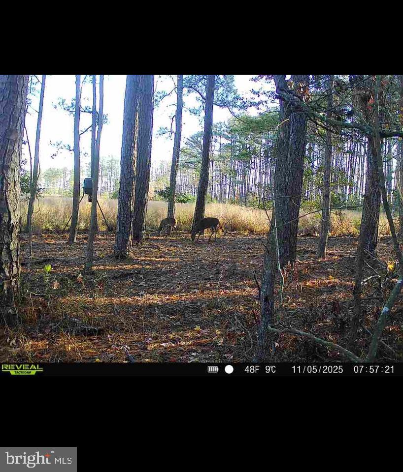2839 Lakesville-Crapo Road Crapo, MD 21626 - Photo 17 of 50 a black and white photo of a lake