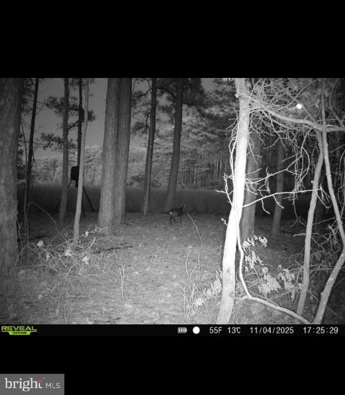 2839 Lakesville-Crapo Road Crapo, MD 21626 - Photo 18 of 50 a view of a backyard