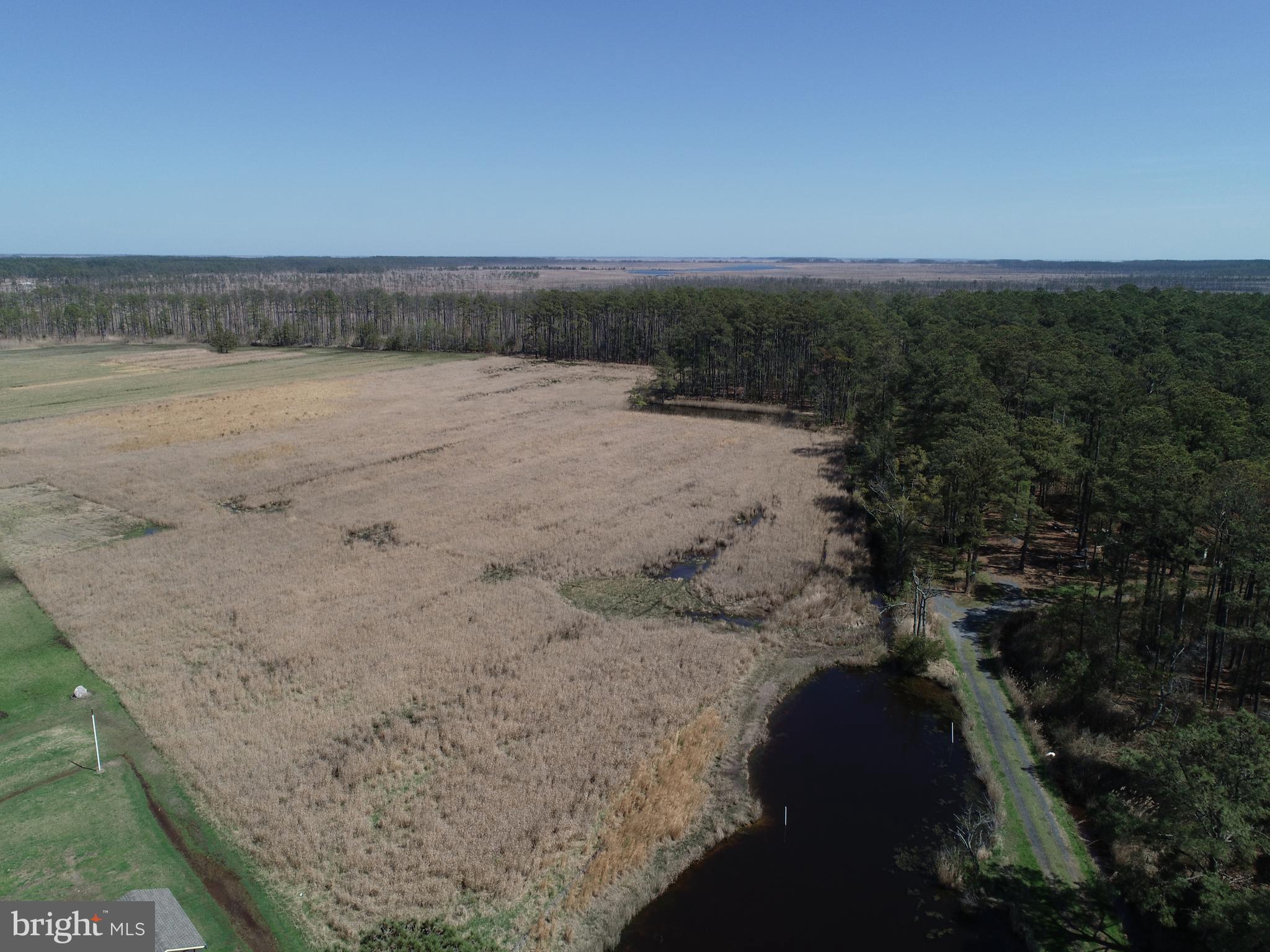 2839 Lakesville-Crapo Road Crapo, MD 21626 - Photo 2 of 50 a view of a lake with beach and outdoor space