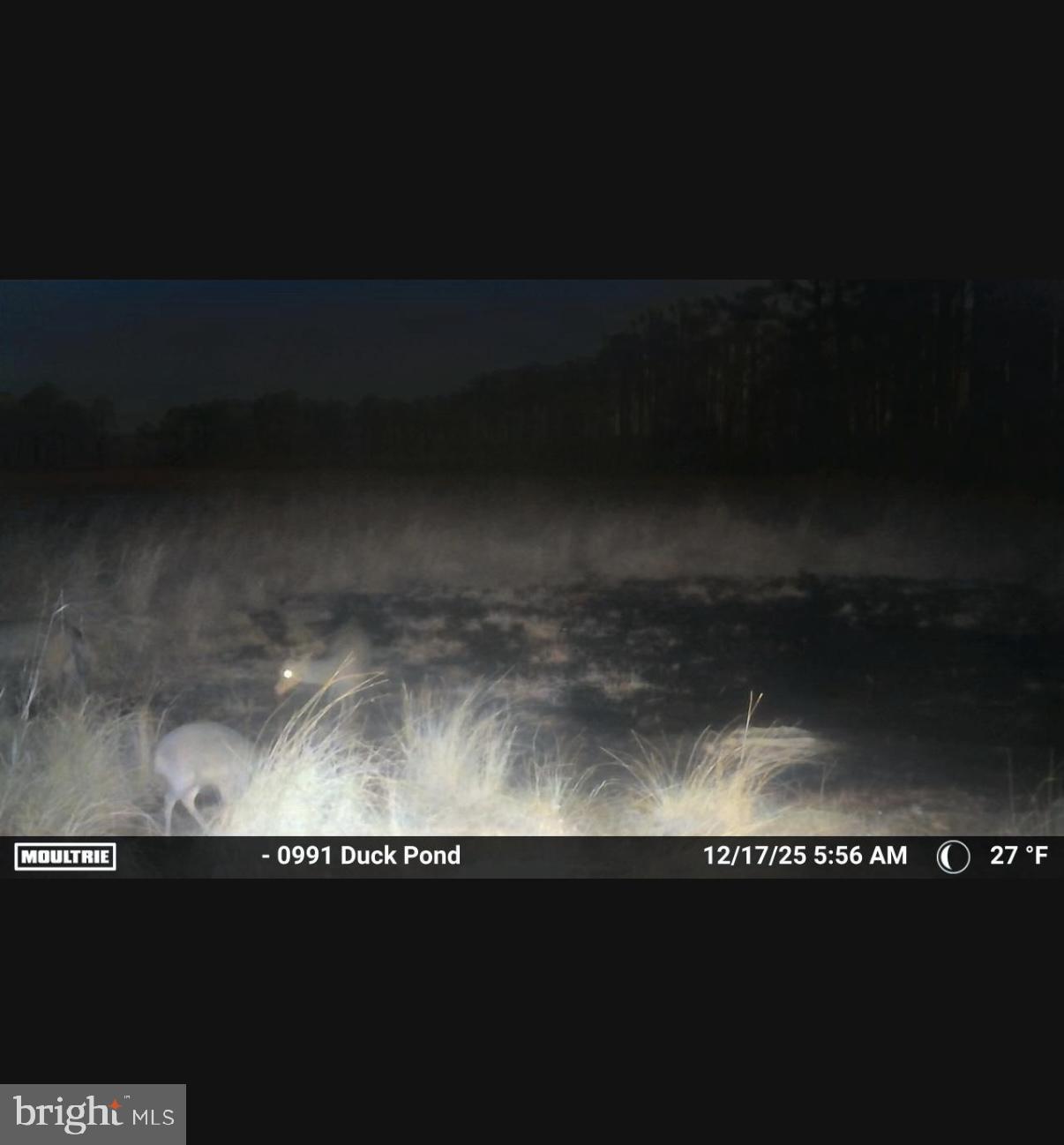 2839 Lakesville-Crapo Road Crapo, MD 21626 - Photo 22 of 50 a close view of water heater