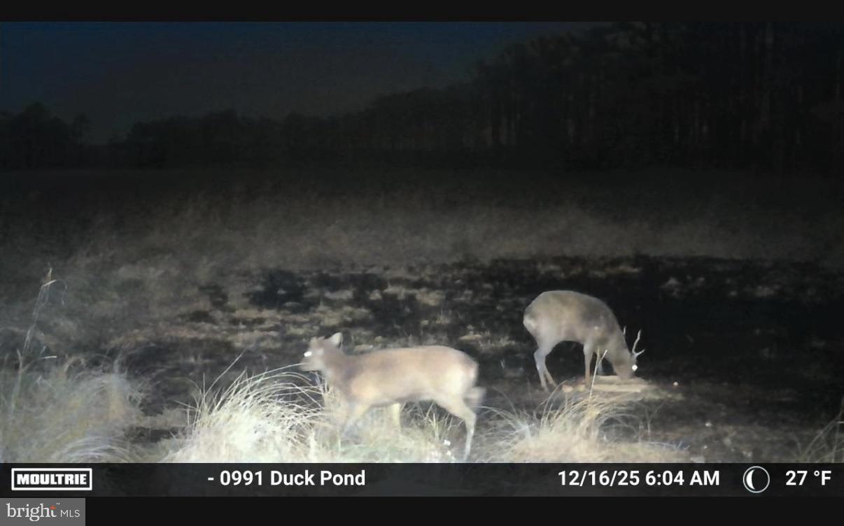2839 Lakesville-Crapo Road Crapo, MD 21626 - Photo 25 of 50 a black and white photo of a sink