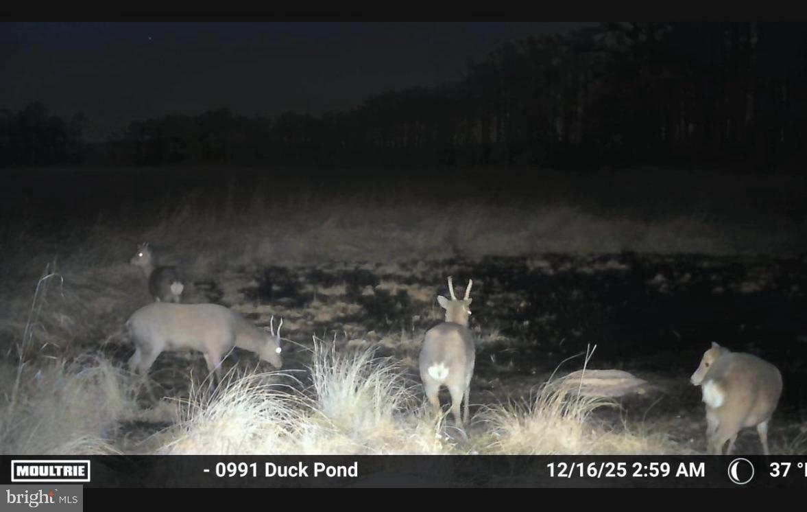 2839 Lakesville-Crapo Road Crapo, MD 21626 - Photo 26 of 50 a view of a livingroom with furniture and a yard