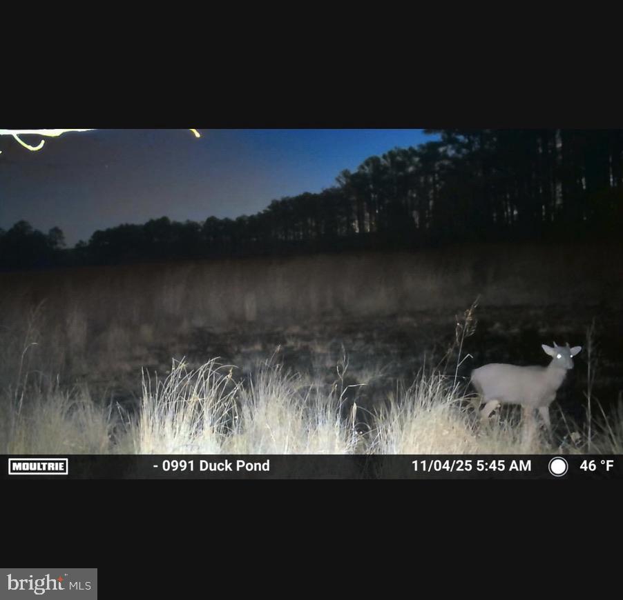 2839 Lakesville-Crapo Road Crapo, MD 21626 - Photo 28 of 50 a view of a lake