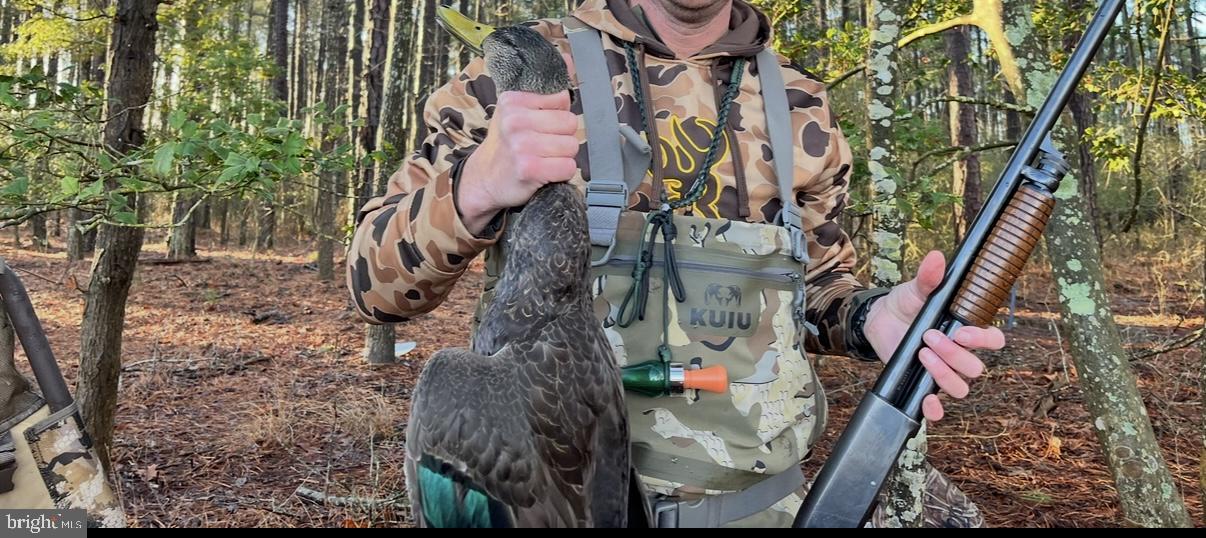 2839 Lakesville-Crapo Road Crapo, MD 21626 - Photo 29 of 50 a bird view of multi story residential apartment building