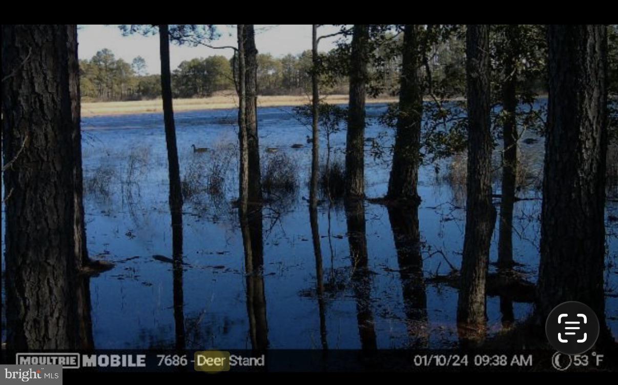 2839 Lakesville-Crapo Road Crapo, MD 21626 - Photo 30 of 50 a view of water heater room