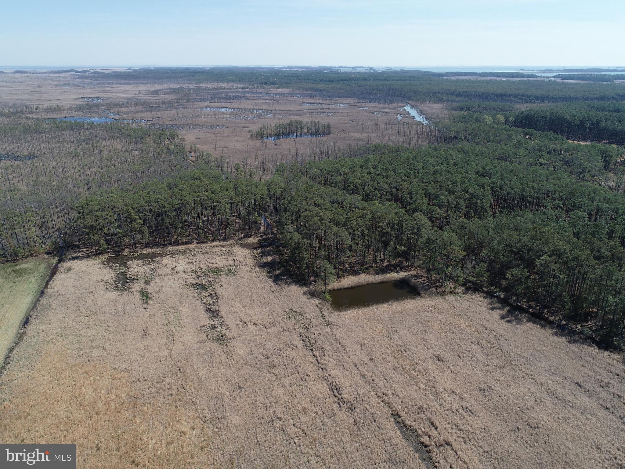 2839 Lakesville-Crapo Road Crapo, MD 21626 - Photo 3 of 50 a view of outdoor space and yard