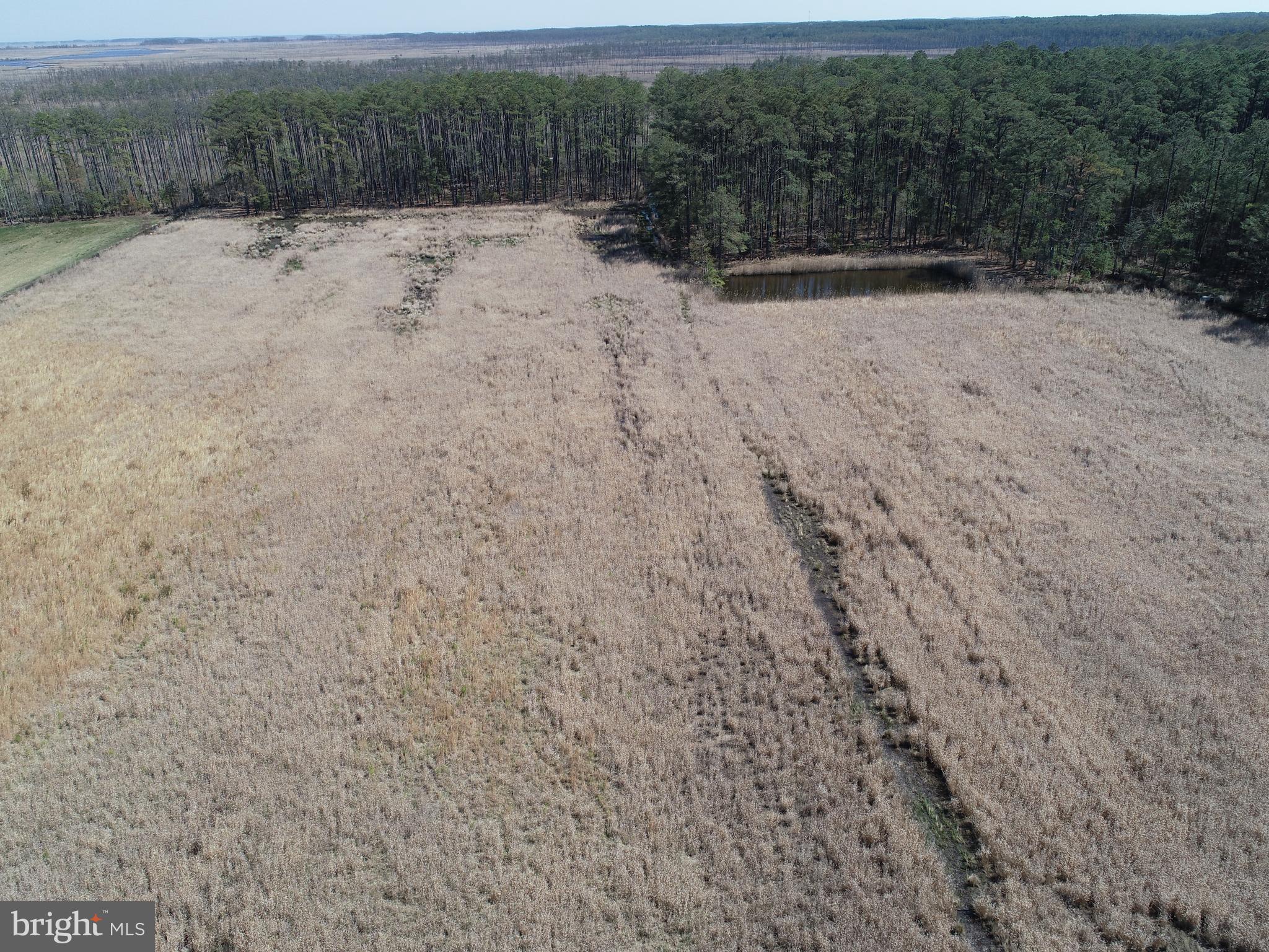 2839 Lakesville-Crapo Road Crapo, MD 21626 - Photo 33 of 50 a view of outdoor space and yard
