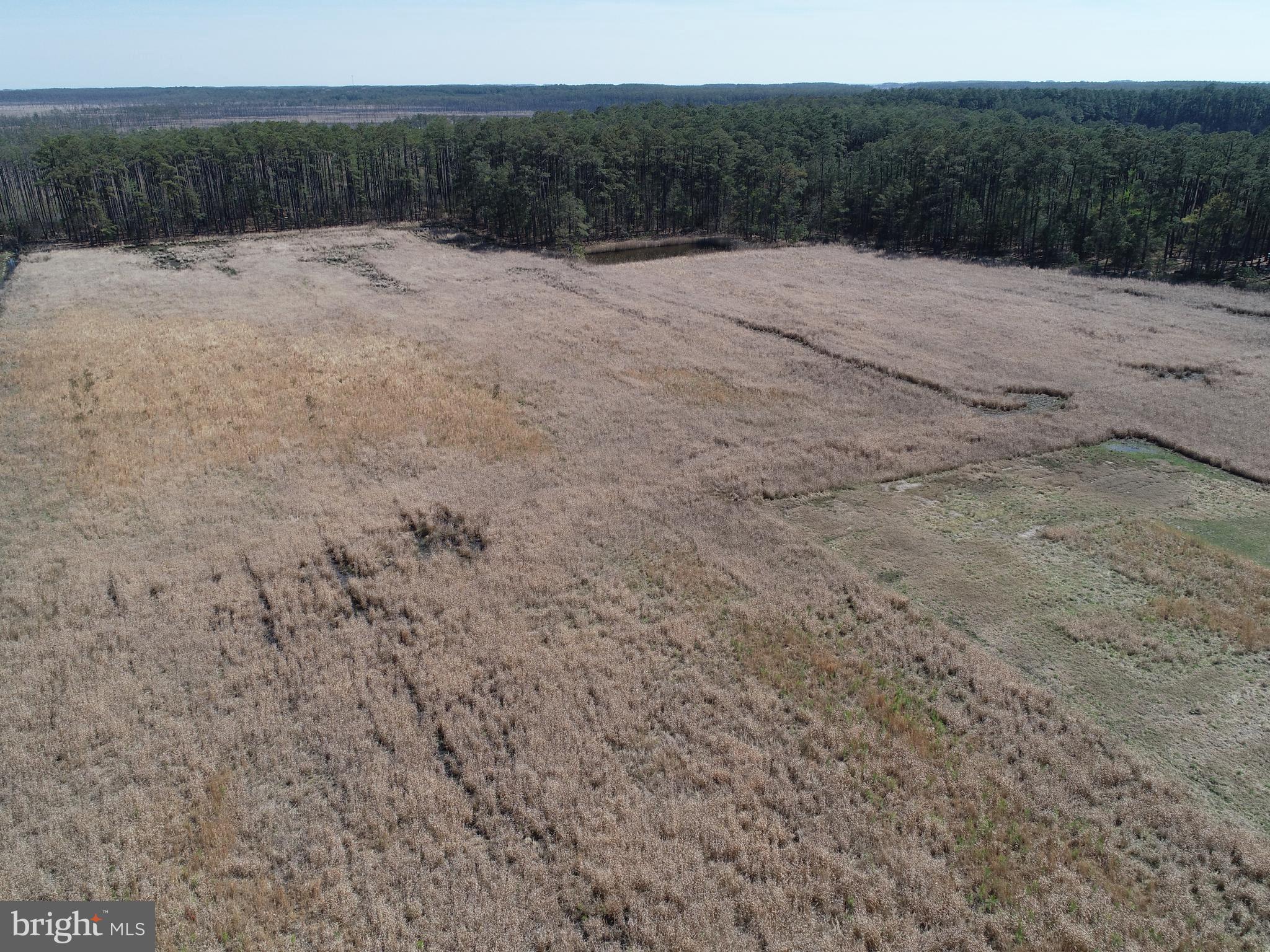 2839 Lakesville-Crapo Road Crapo, MD 21626 - Photo 34 of 50 a view of wall with mountain view