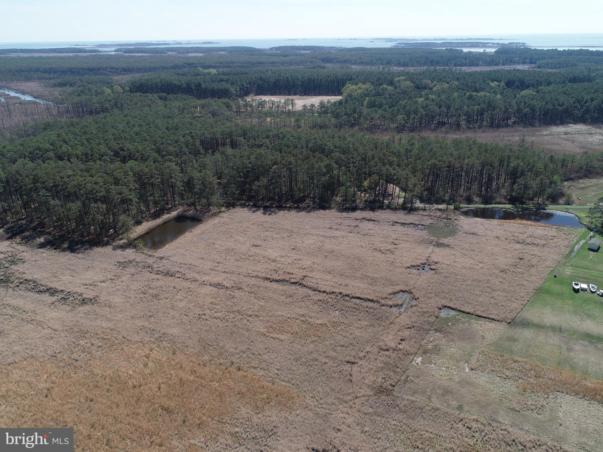 2839 Lakesville-Crapo Road Crapo, MD 21626 - Photo 37 of 50 a view of a dry yard with wooden fence