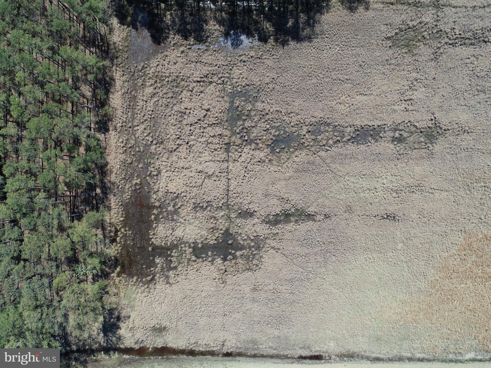 2839 Lakesville-Crapo Road Crapo, MD 21626 - Photo 38 of 50 a view of a backyard of a house