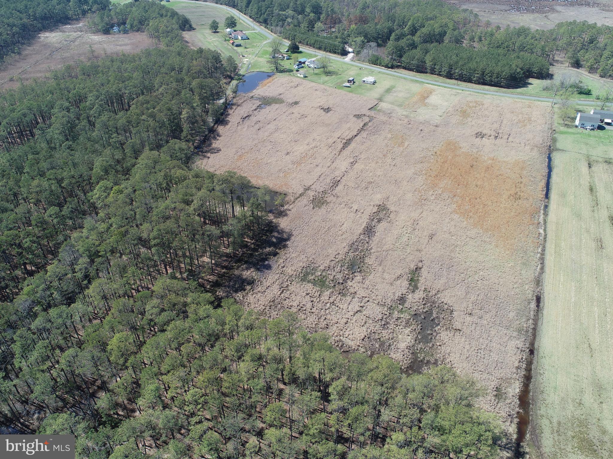 2839 Lakesville-Crapo Road Crapo, MD 21626 - Photo 40 of 50 a view of a dry yard with trees
