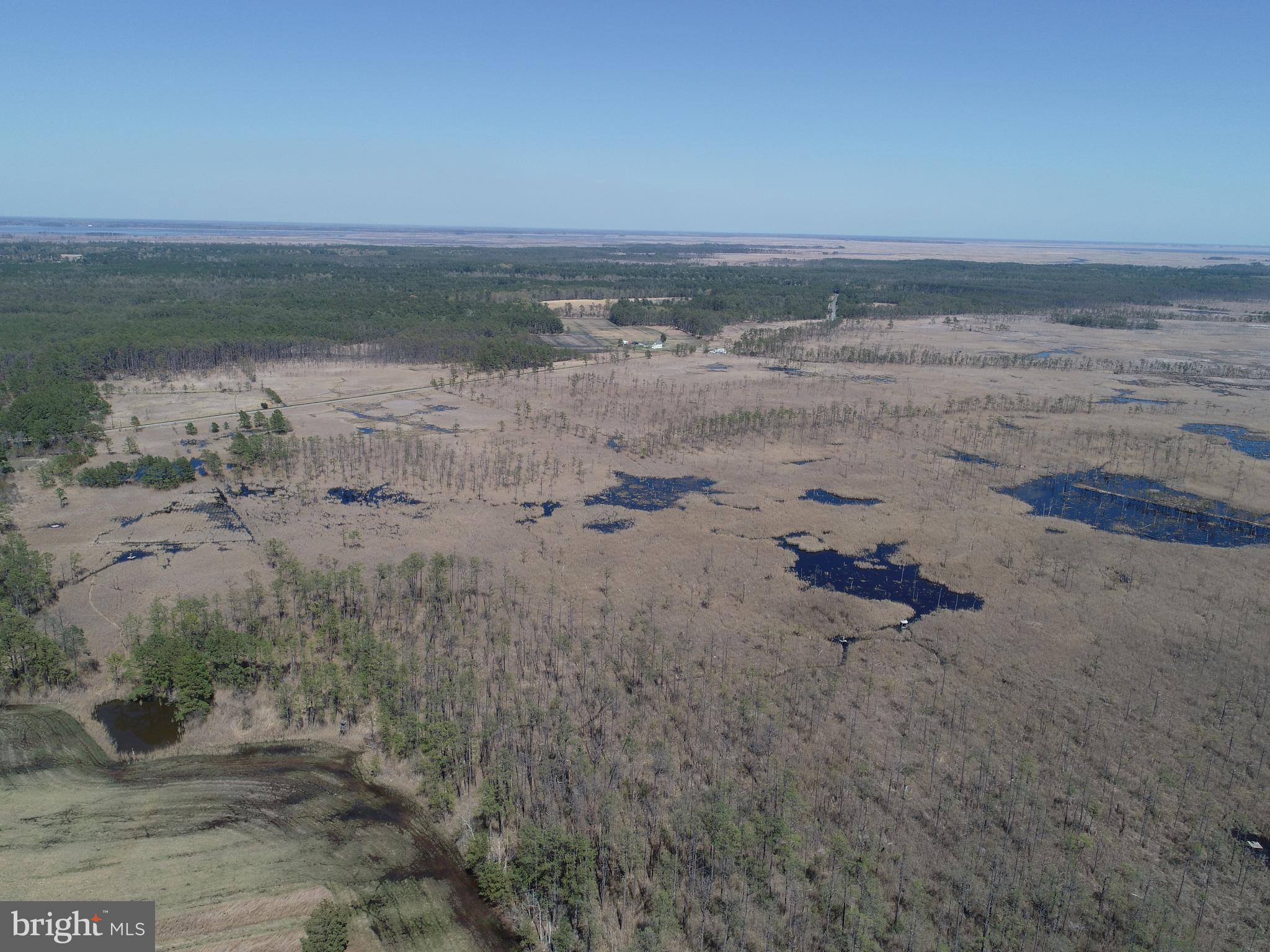 2839 Lakesville-Crapo Road Crapo, MD 21626 - Photo 44 of 50 a view of beach and ocean