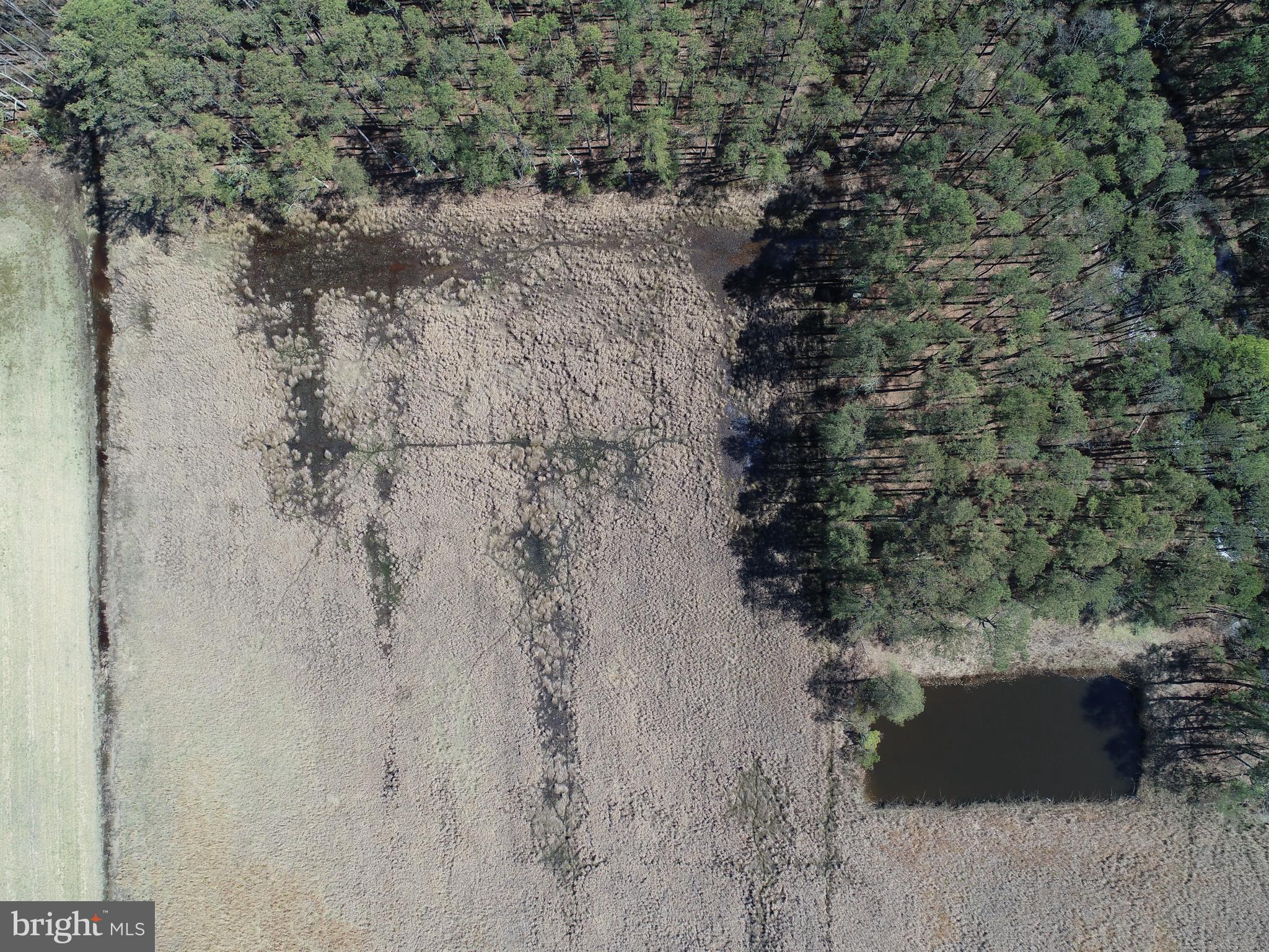 2839 Lakesville-Crapo Road Crapo, MD 21626 - Photo 46 of 50 a view of a house with a yard