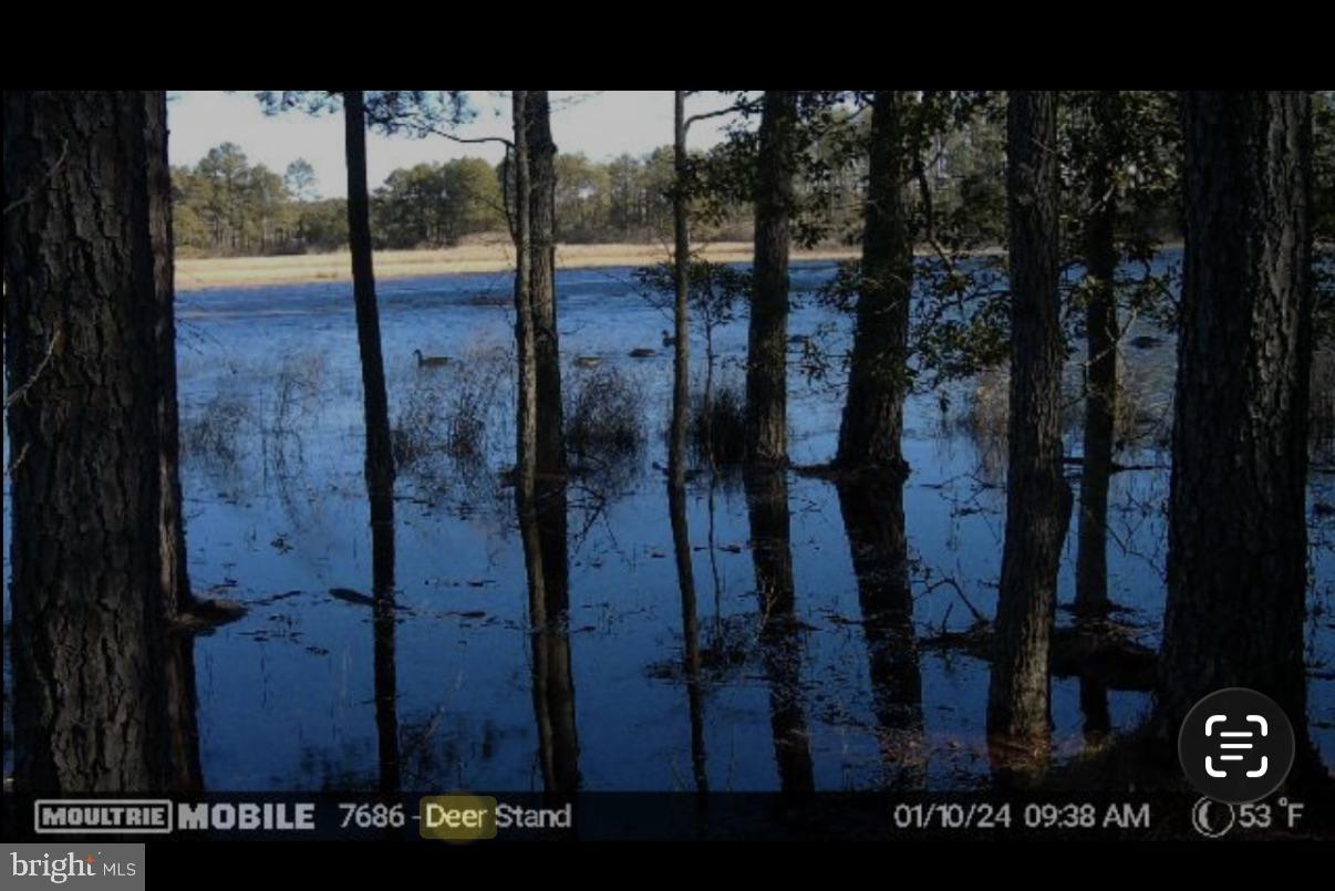 2839 Lakesville-Crapo Road Crapo, MD 21626 - Photo 5 of 50 a view of a entryway