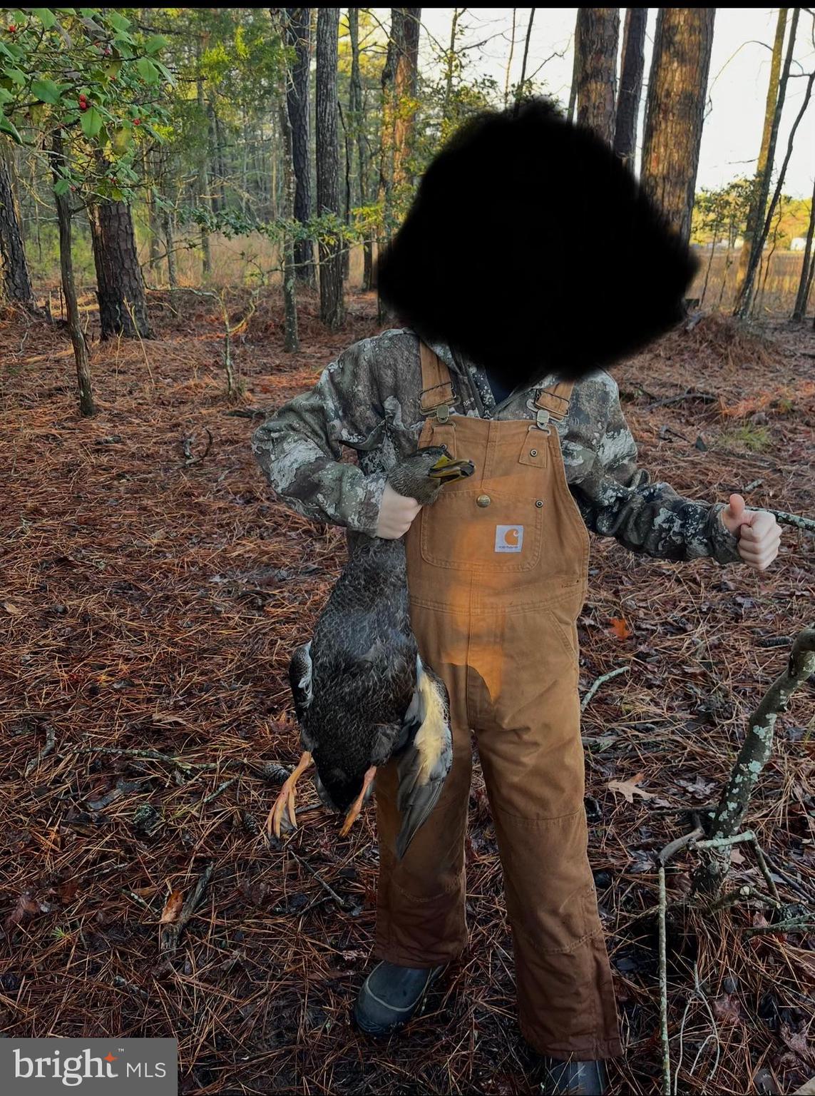 2839 Lakesville-Crapo Road Crapo, MD 21626 - Photo 6 of 50