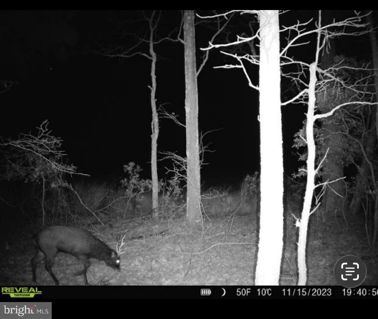 2839 Lakesville-Crapo Road Crapo, MD 21626 - Photo 7 of 50