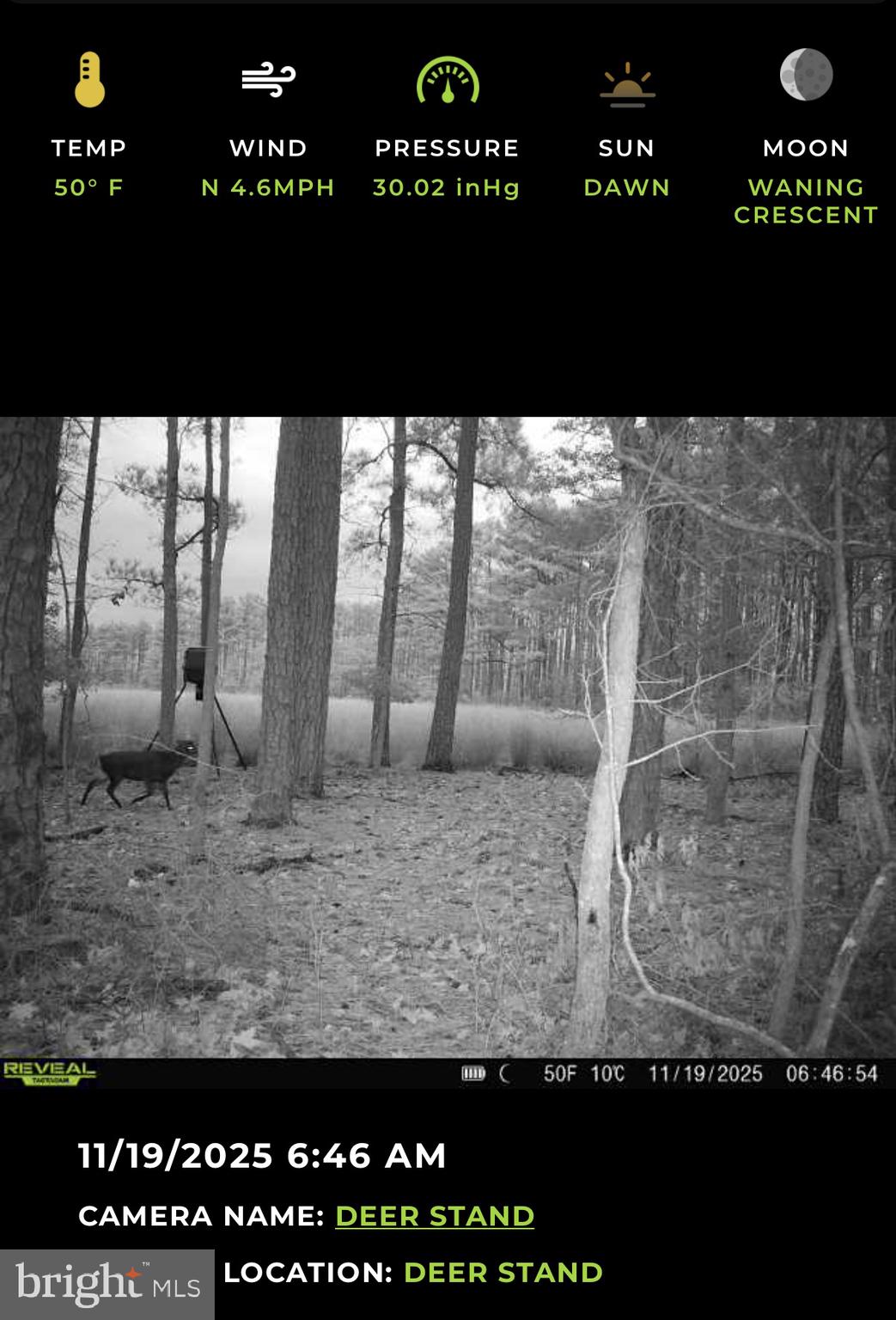 2839 Lakesville-Crapo Road Crapo, MD 21626 - Photo 9 of 50 a view of outdoor space