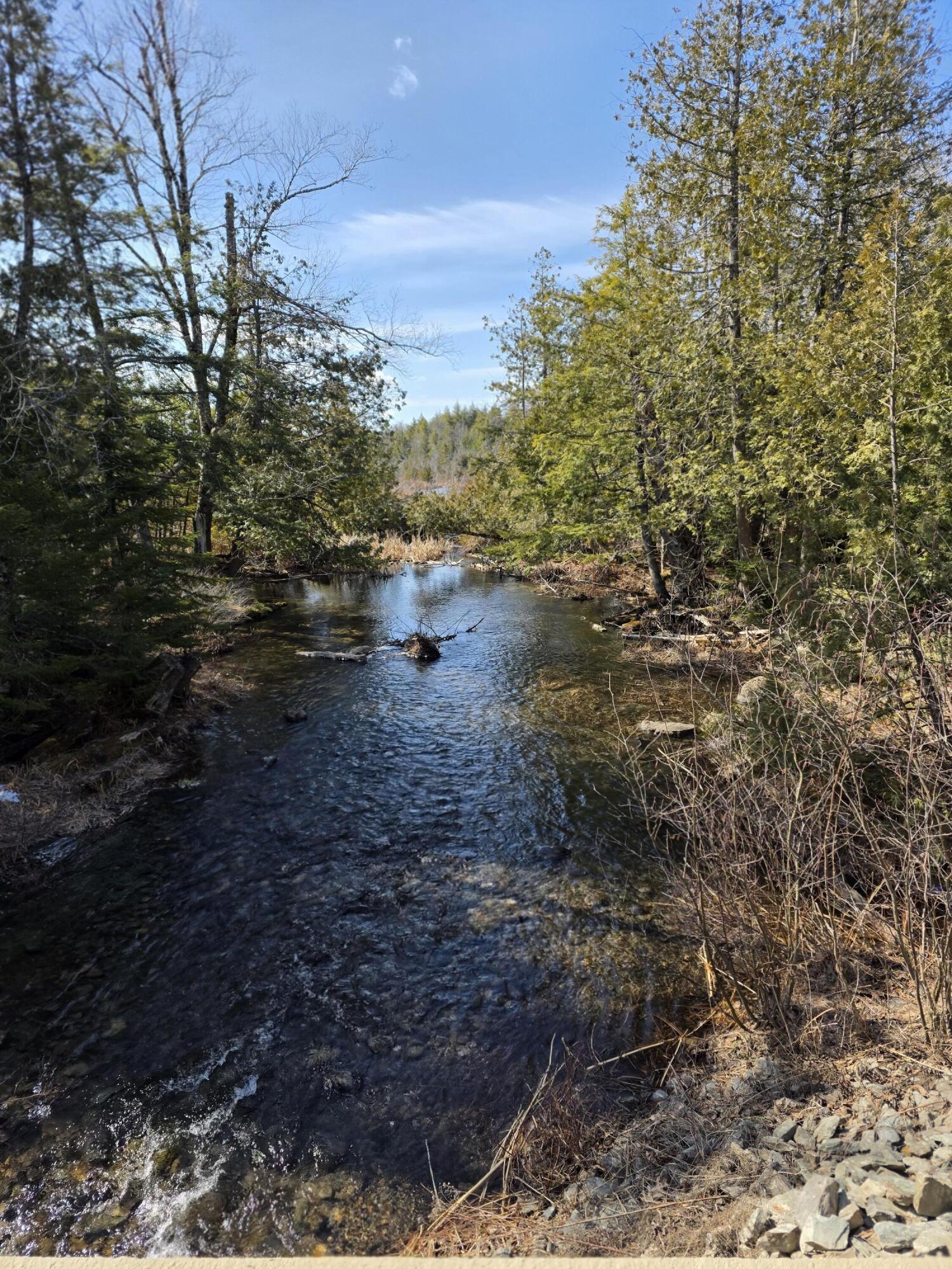 76 Little River Cove Road Weston, ME 04424 - Photo 14 of 14 20260329_101137