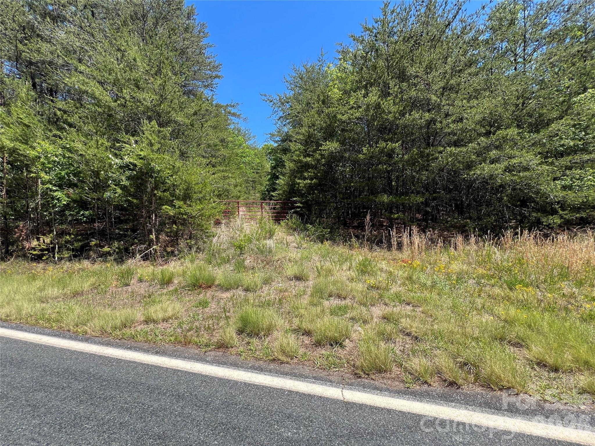 0 Luckadoo Mountain Road, Unit 177 Bostic, NC 28018 - Photo 1 of 11
