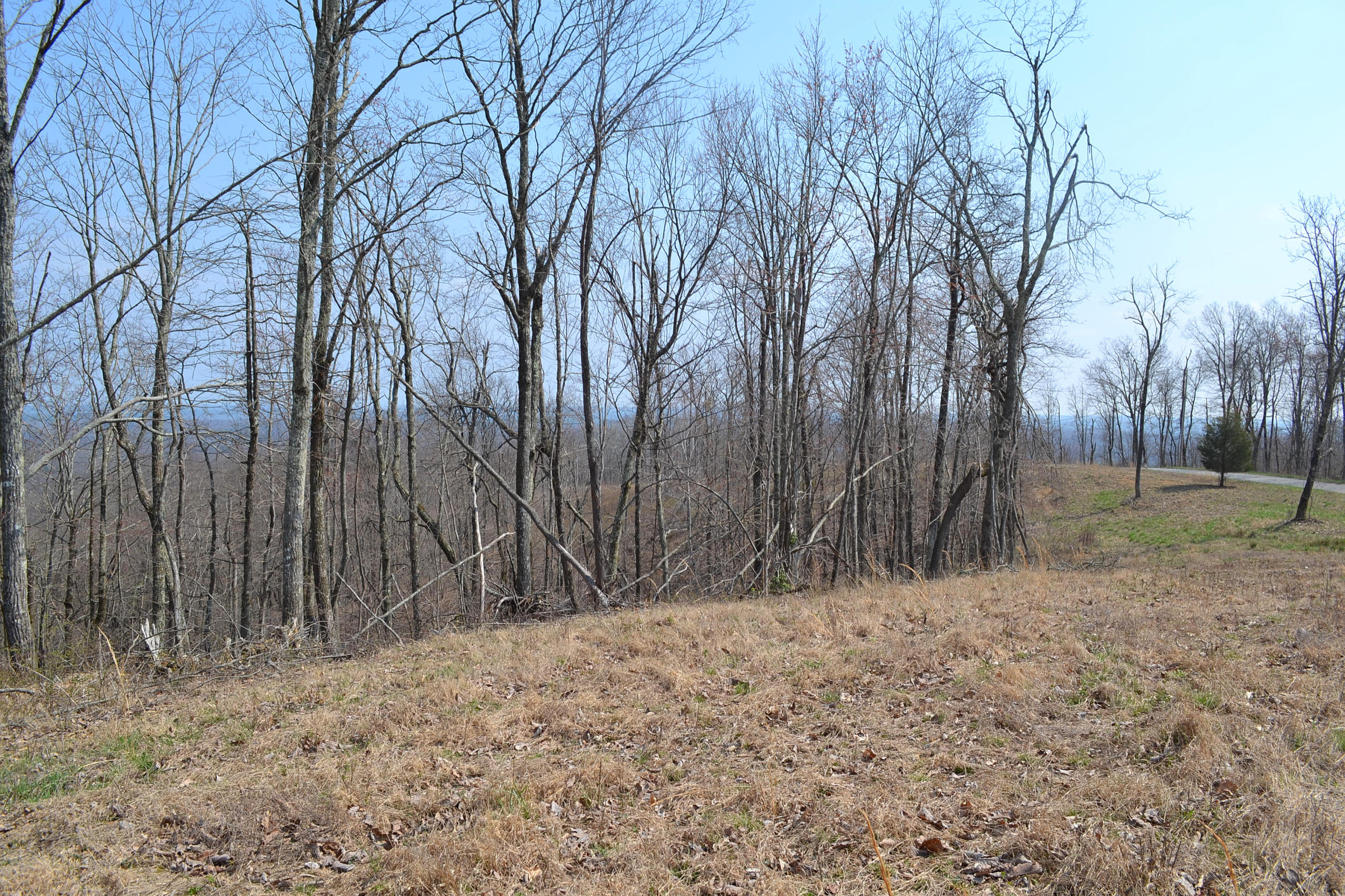 4.9-ac 4.9-ac Briley Road Spring City, TN 37381 - Photo 11 of 16 DSC_0063