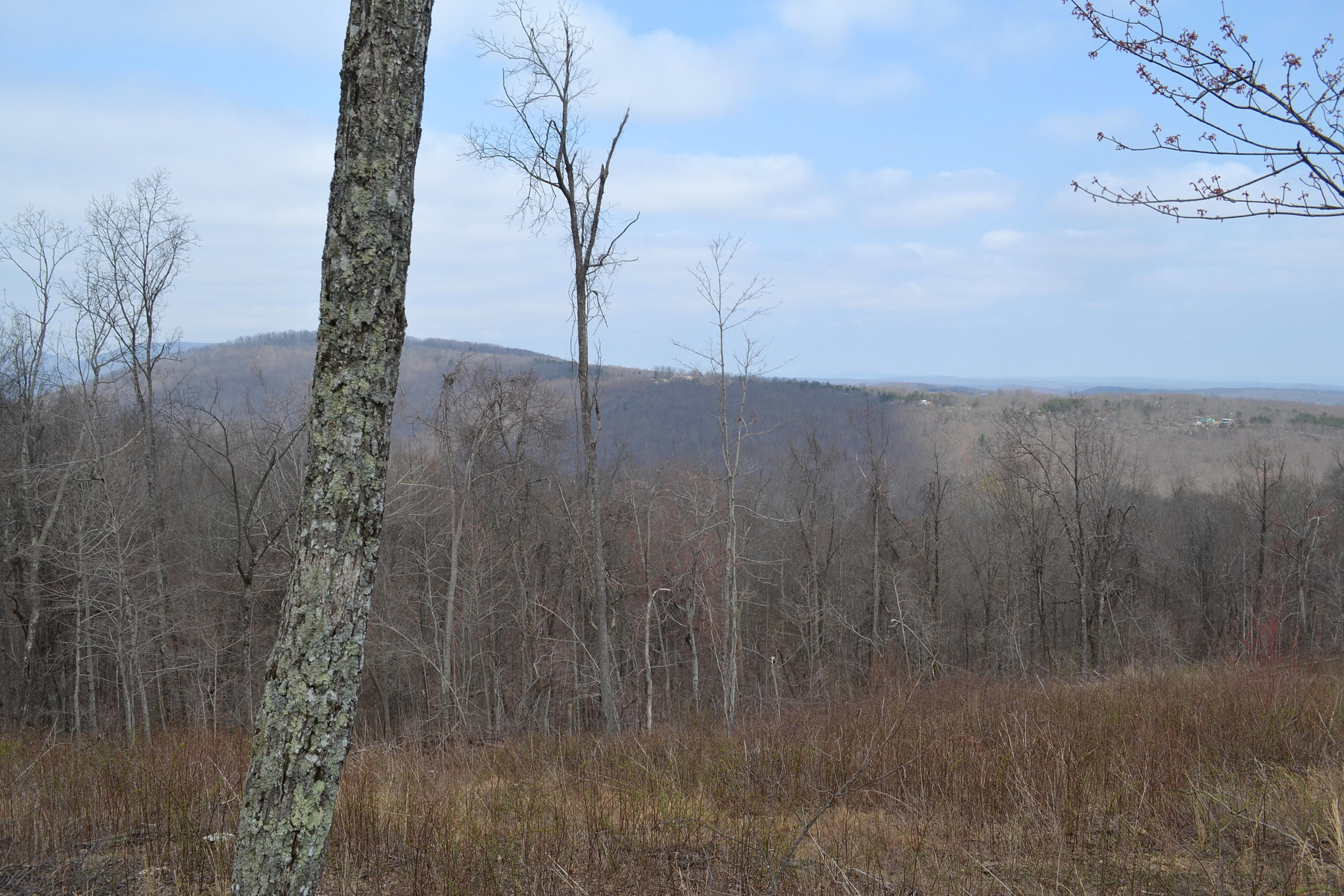 4.9-ac 4.9-ac Briley Road Spring City, TN 37381 - Photo 3 of 16 DSC_0054