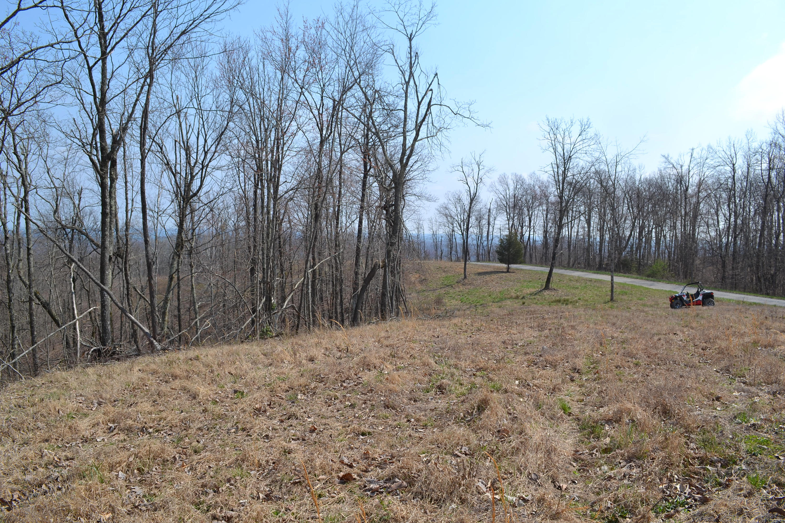 4.9-ac 4.9-ac Briley Road Spring City, TN 37381 - Photo 10 of 16 DSC_0062