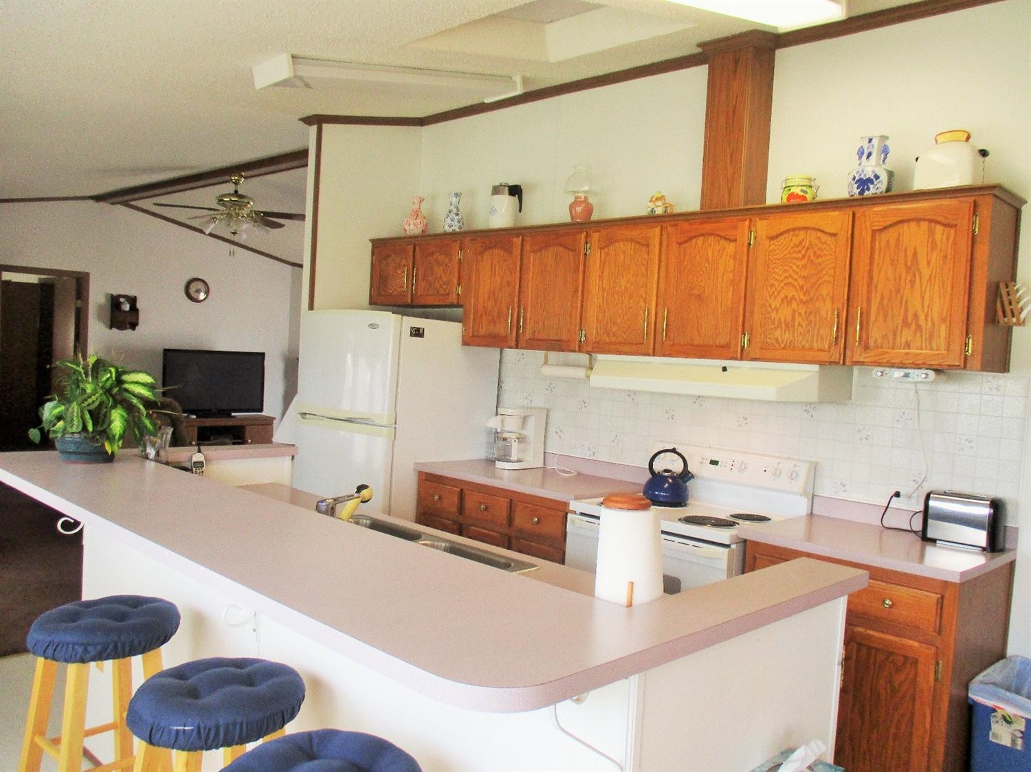 13707 South Platt Road Milan, MI 48160 - Photo 3 of 10 Photo 3