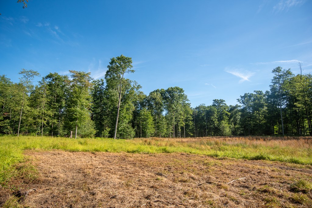 Lot 4-5 County Line Road Venus, PA 16364 - Photo 12 of 32