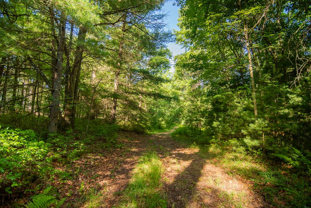 Lot 4-5 County Line Road Venus, PA 16364 - Photo 19 of 32