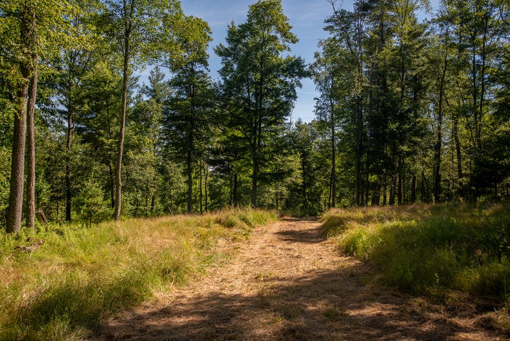 Lot 4-5 County Line Road Venus, PA 16364 - Photo 27 of 32