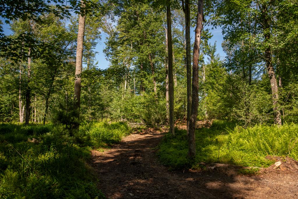 Lot 4-5 County Line Road Venus, PA 16364 - Photo 28 of 32