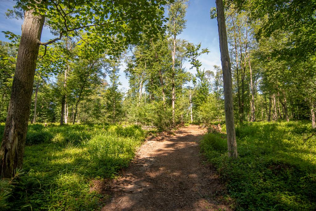 Lot 4-5 County Line Road Venus, PA 16364 - Photo 30 of 32