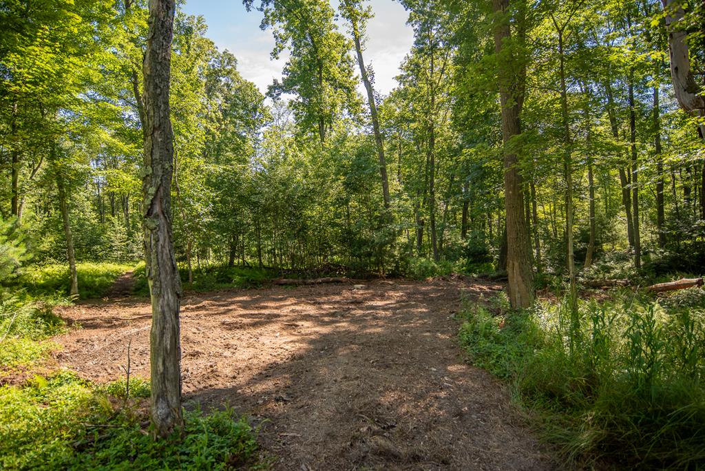 Lot 4-5 County Line Road Venus, PA 16364 - Photo 31 of 32