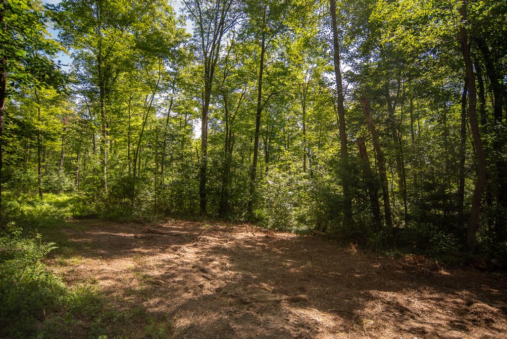 Lot 4-5 County Line Road Venus, PA 16364 - Photo 32 of 32
