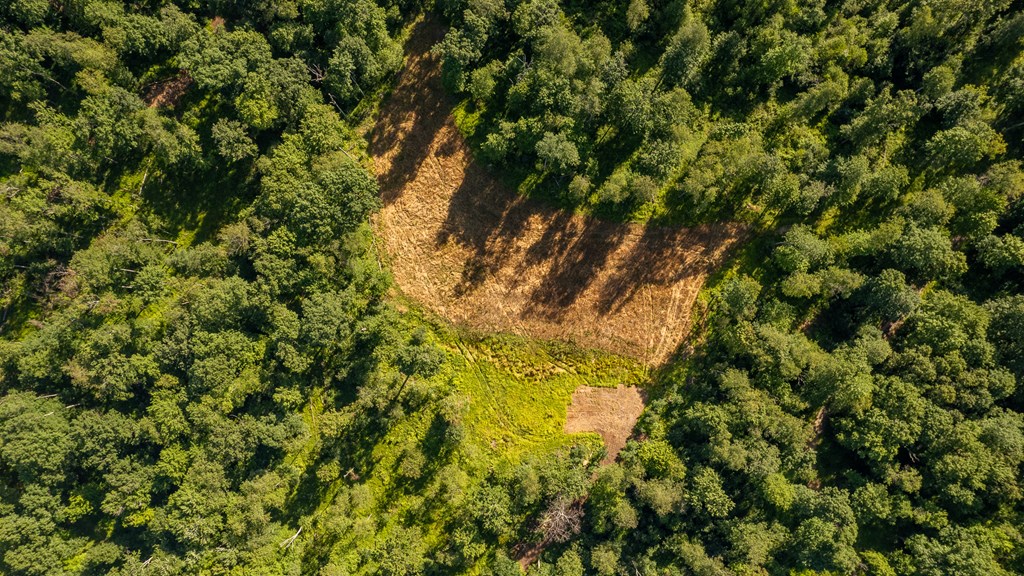Lot 4-5 County Line Road Venus, PA 16364 - Photo 6 of 32