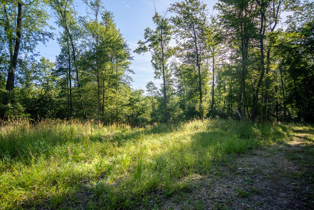 Lot 4-5 County Line Road Venus, PA 16364 - Photo 8 of 32