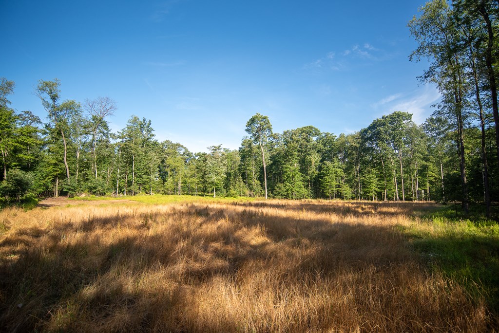Lot 4-5 County Line Road Venus, PA 16364 - Photo 10 of 32