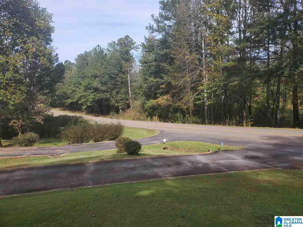 689 Highway 511 Goodwater Al Goodwater, AL 35072 - Photo 3 of 45