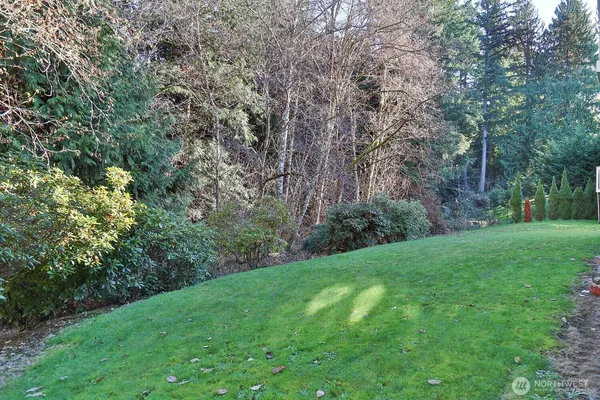 a view of a yard with a trees