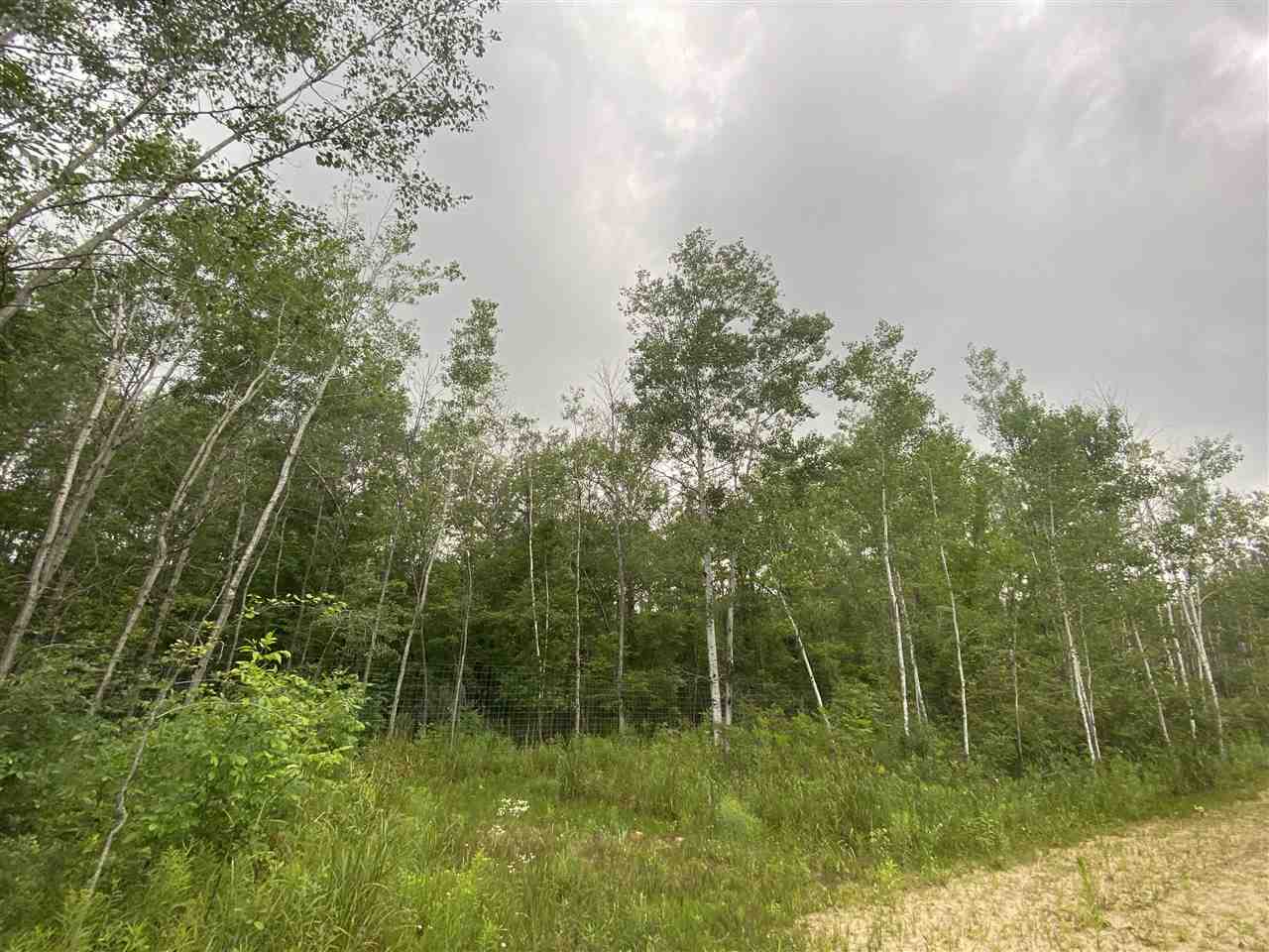 0 North Flajole Road Rhodes, MI 48652 - Photo 2 of 16