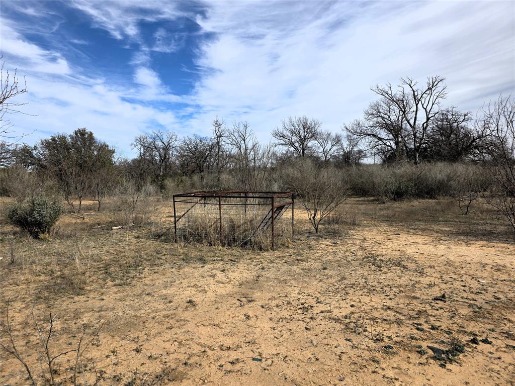 4451 Farm To Market 585 Bangs, TX 76823 - Photo 13 of 36 hog pen