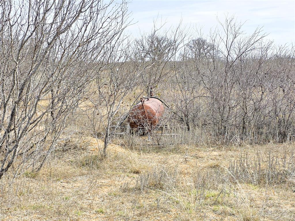 4451 Farm To Market 585 Bangs, TX 76823 - Photo 16 of 36