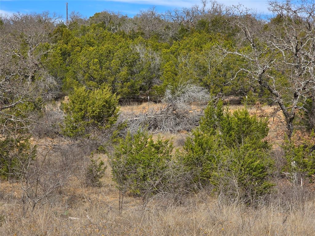 4451 Farm To Market 585 Bangs, TX 76823 - Photo 18 of 36
